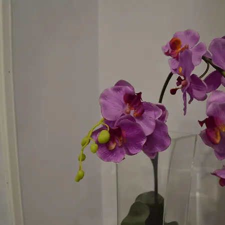 Bed & Breakfast Bassetto 013 Napoli