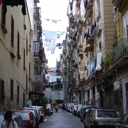 Bassetto 013 3* Napoli
